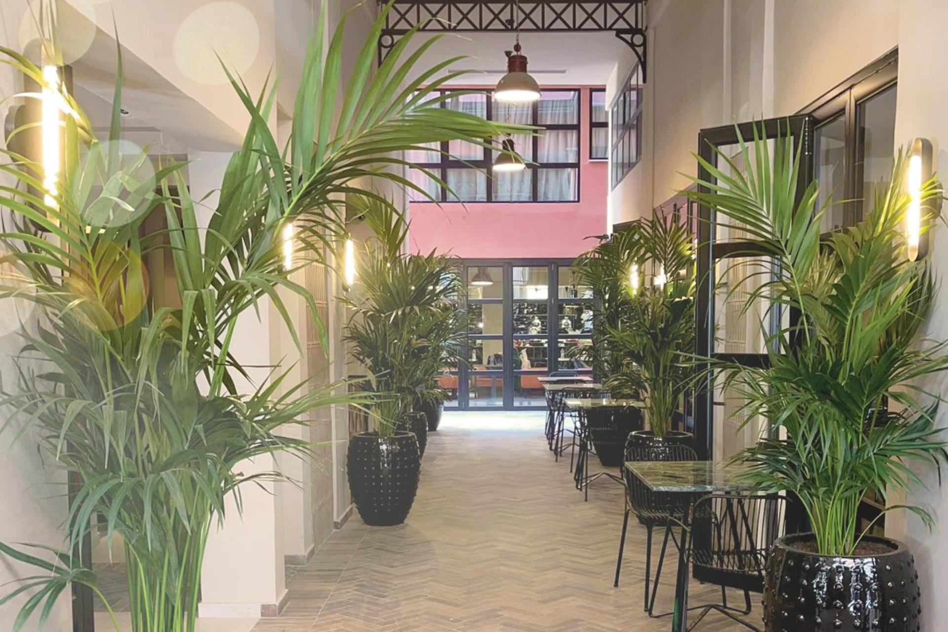 Anise, Aluma Hotels & Resorts Atenas Exterior foto